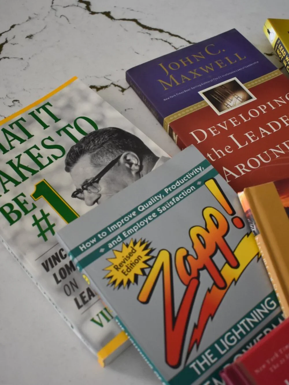 Leadership Management Success Business Books Lot John C Maxwell Zapp! 8 Books
